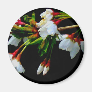 Íman Flor branco branco esbranquiçado florescente