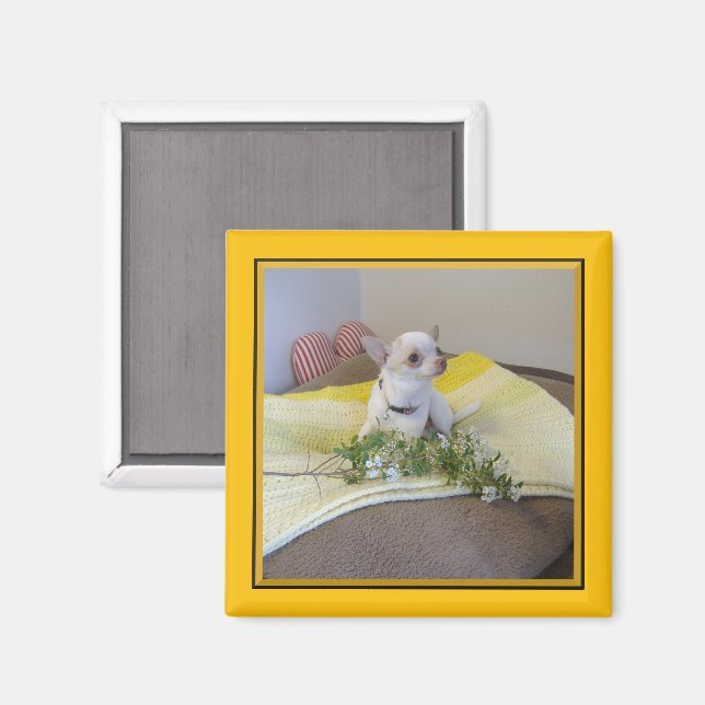 Íman Flor Chihuahua Magnet (Front/Back)