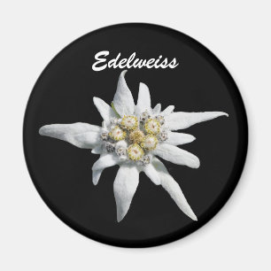 Íman Flor da flor de Edelweiss