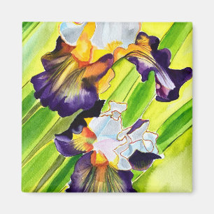 Íman flor da íris floral de aquarela