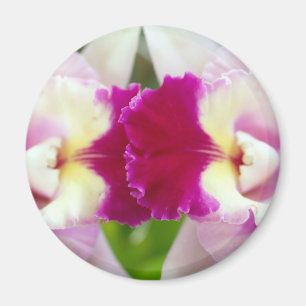 Íman Flor da orquídea