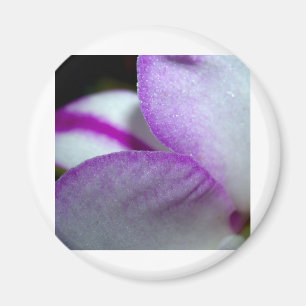 Íman Flor da orquídea