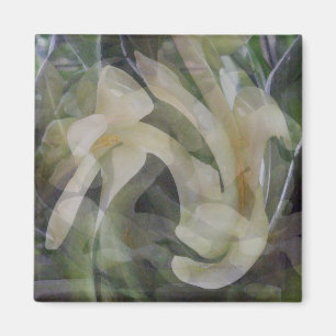 Íman Flor da papaia no abstrato