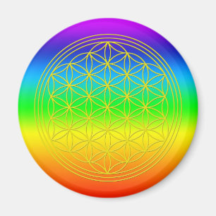 Íman Flor da vida chakra 2