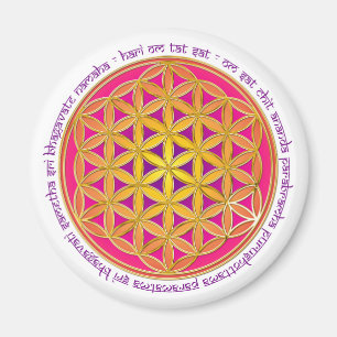 Íman Flor da vida/mantra de Moola
