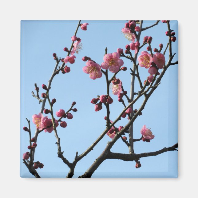 Íman Flor de ameixa: Japão (Frente)