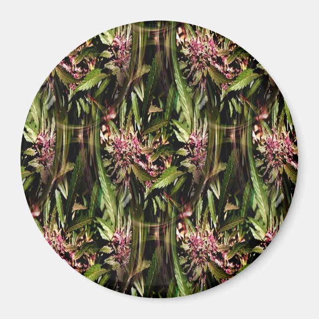 Íman Flor de Ape de Uva..... (Frente)