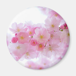 Íman Flor de árvore de cereja japonesa