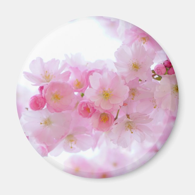Íman Flor de árvore de cereja japonesa (Frente)