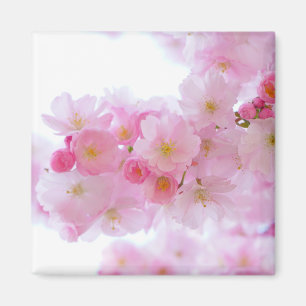 Íman Flor de árvore de cereja japonesa