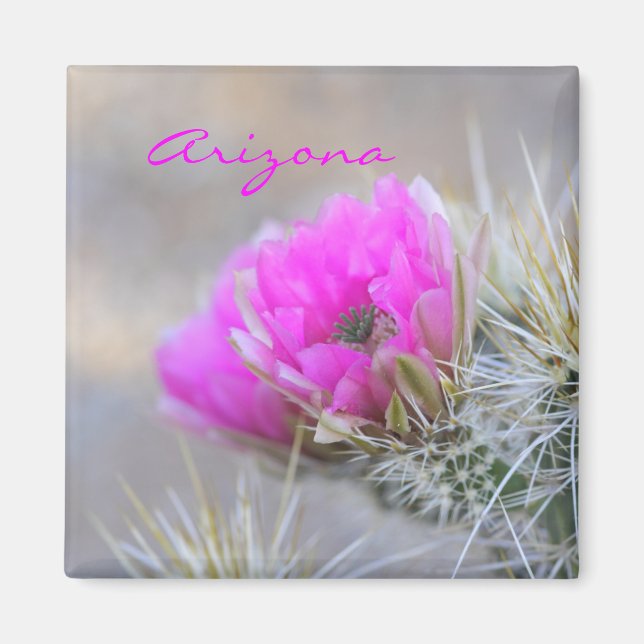 Íman flor de cacto rosa,Arizona (Frente)