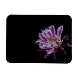 Íman Flor de cacto roxo e branco