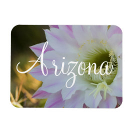 Íman Flor de cacto roxo e branco, Arizona
