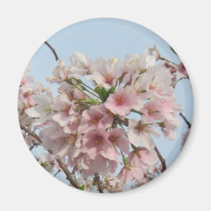 Íman Flor de cerejeira