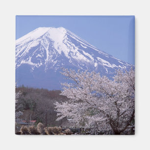 Íman Flor de cerejeira e Monte Fuji