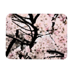 Íman Flor de cerejeira editada