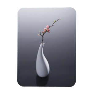 Íman Flor de cerejeira no vaso