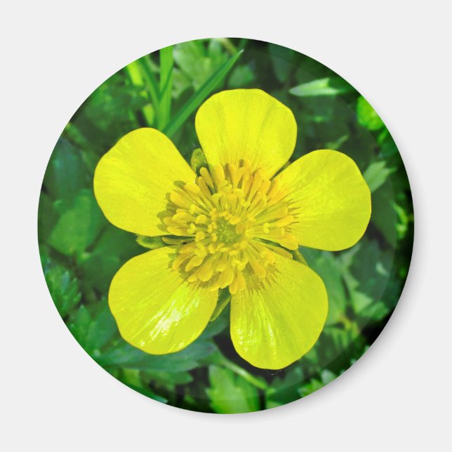 Íman Flor De Copo-Botão. (Frente)