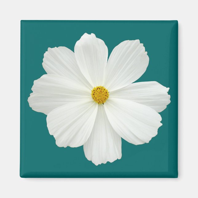 Íman Flor de Cosmos Branco (Frente)