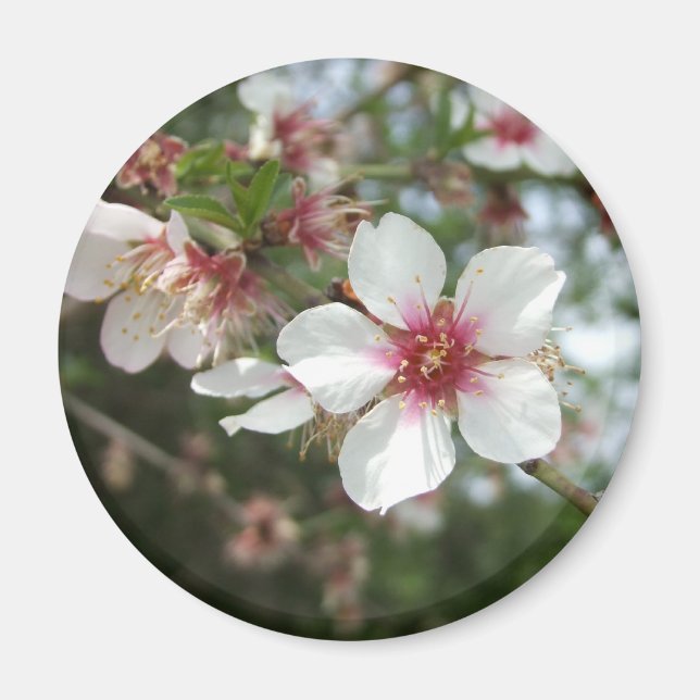 Íman Flor de Flor de Flor (Frente)