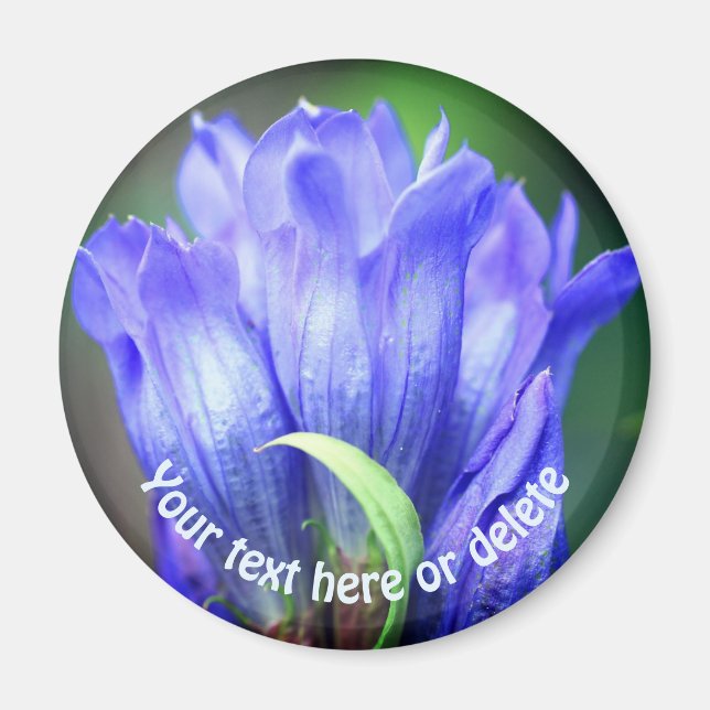 Íman Flor de Genciana Azul Personalizada (Frente)