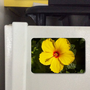 Íman Flor de Hibiscus Amarelo