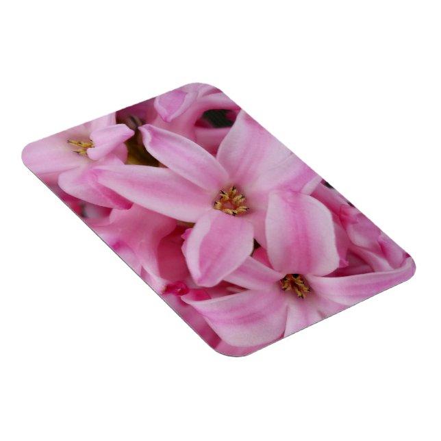 Íman flor de hyacinte rosa (Lado Direito)