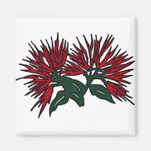 Íman Flor de Lehua
