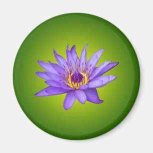 Íman Flor de Lírio Aquático Roxo do Lago