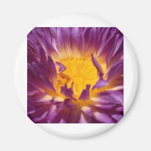 Íman flor de lótus
