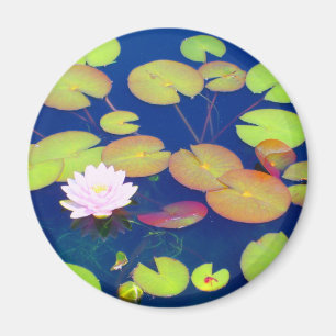 Íman Flor de Lotus cor-de-rosa que flutua com as