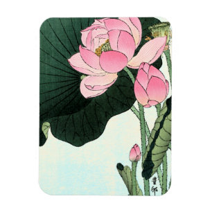 Íman Flor de Lotus do japonês - ímã das belas artes