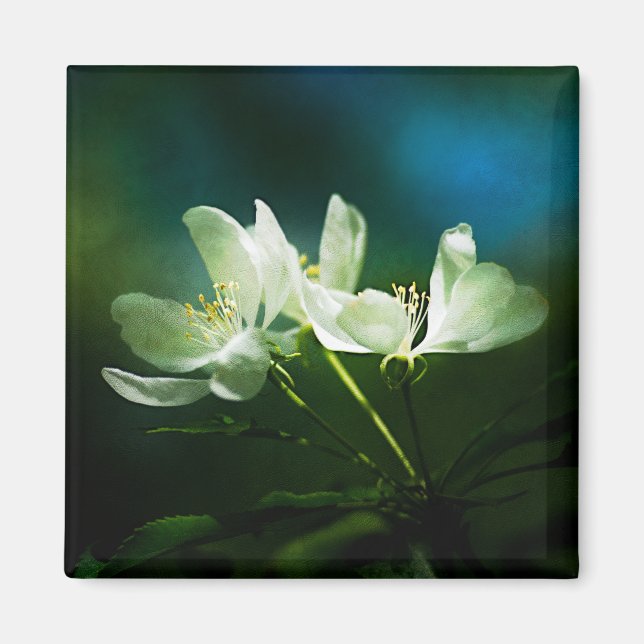 Íman Flor de Maçã - Duas Flores (Frente)