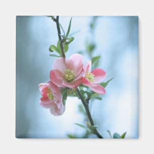 Íman Flor de Maçã #P0365 Magnet