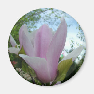 Íman flor de magnólia