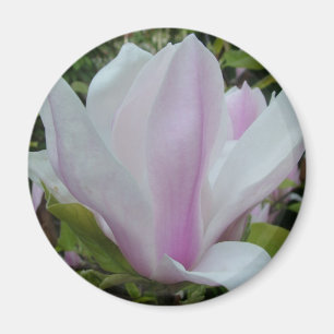 Íman flor de magnólia