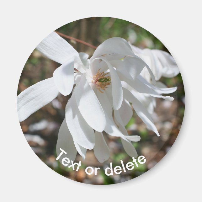 Íman Flor de Magnólia Branca Personalizada (Frente)
