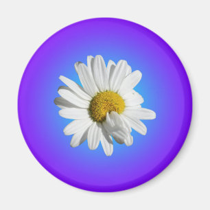 Íman Flor de Margarida Branca Gradiente Azul Roxo