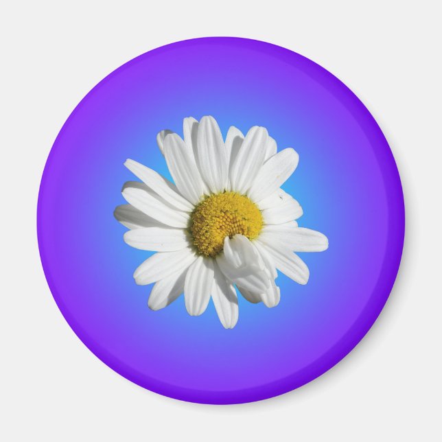 Íman Flor de Margarida Branca Gradiente Azul Roxo (Frente)