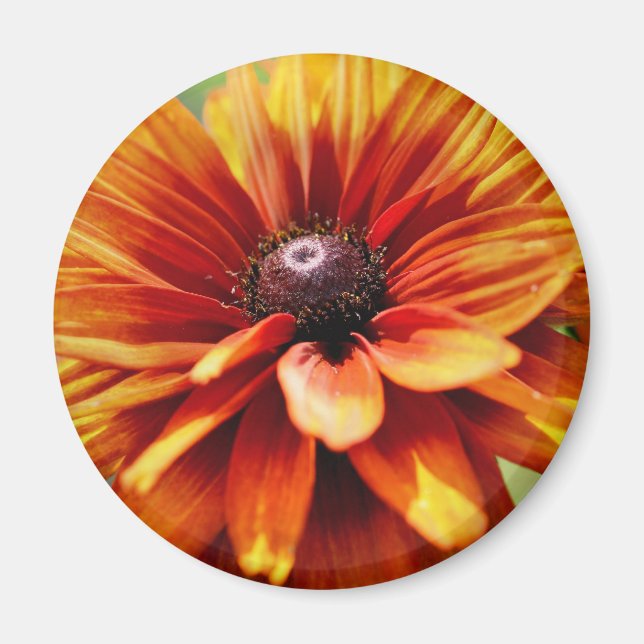 Íman Flor de Margarida Laranja (Frente)