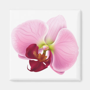 Íman flor de orquídea