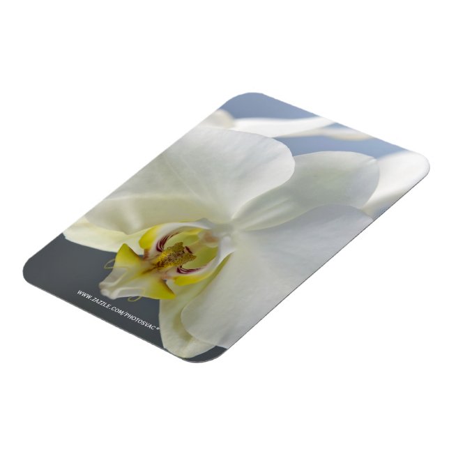 Íman Flor de Orquídea Branca (Left Side)