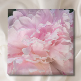 Íman Flor de Peônia Rosa