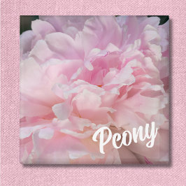 Íman Flor de Peônia Rosa para Amantes de Peônia