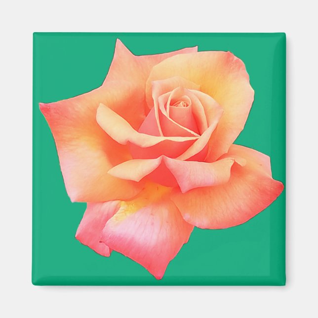 Íman Flor de pêssego (Frente)