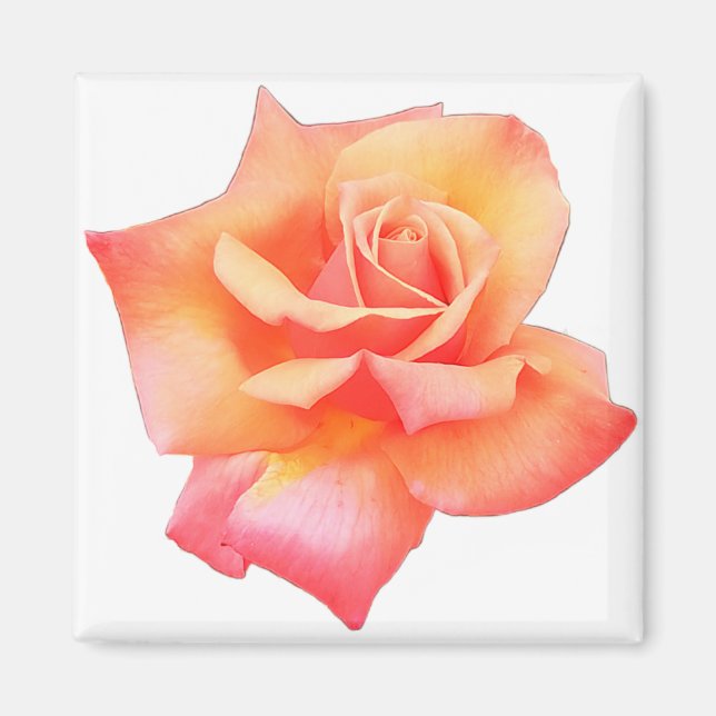 Íman Flor de pêssego (Frente)