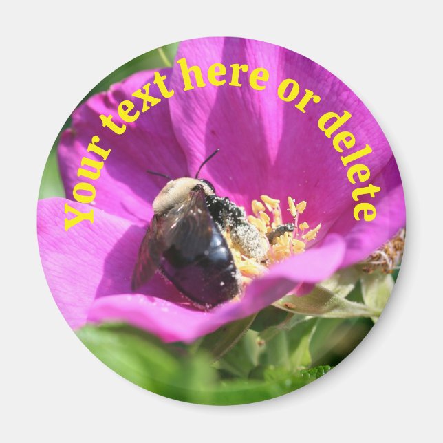Íman Flor de Rosa Abelha Bumble Personalizada Natureza (Frente)