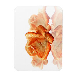 Íman Flor de Rosa de Coral com Música em Folha