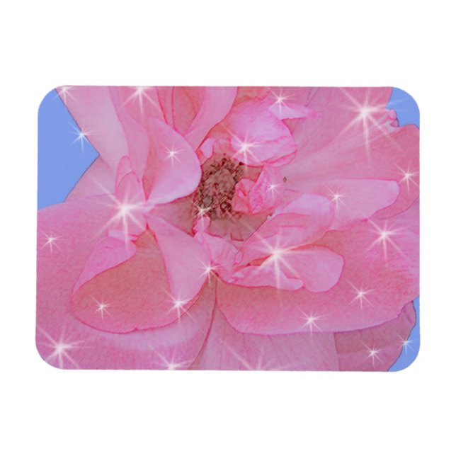 Íman flor de rosa rosa e estrelas cintilantes (Horizontal)