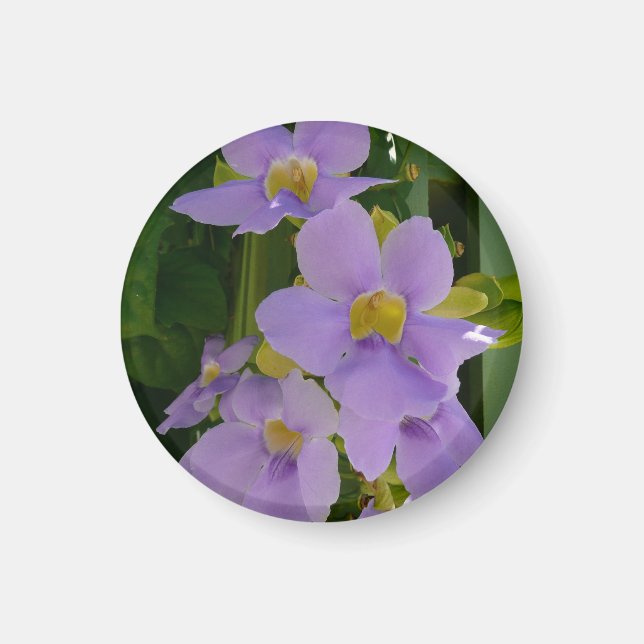 Íman Flor de Vinha Tropical Roxa Floral (Frente)